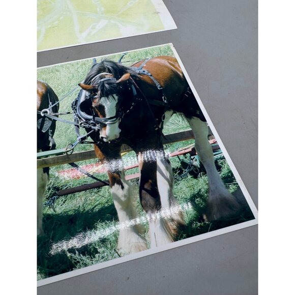 Vintage Horse Team Photos 2-Piece Set art wagon hitch 11X8.5" READ - Picture 2 of 7